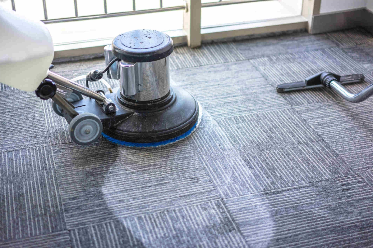 Why Regular Professional Carpet Cleaning is Essential for a Healthy Home