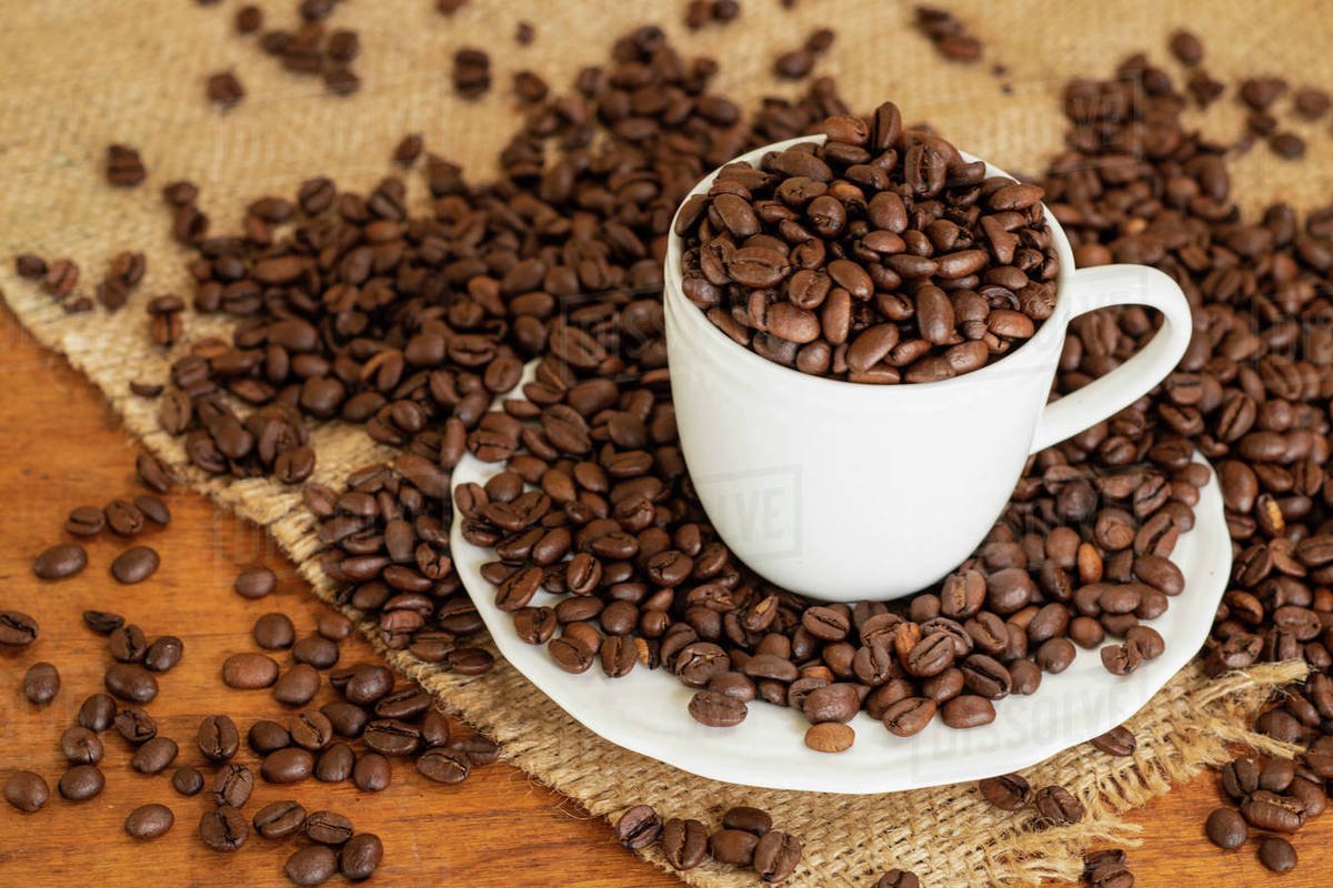 Coffee and Culture: How Does This Beverage Connect the World? 